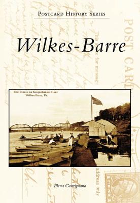 Wilkes-Barre (Postcard History) Cover Image