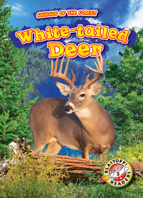 White-Tailed Deer (Animals of the Forest) By Al Albertson Cover Image