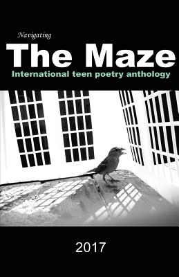 Navigating the Maze Cover Image