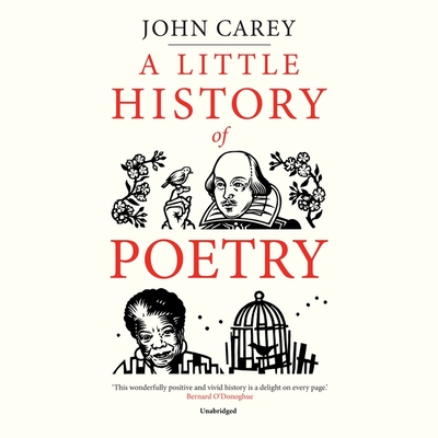 A Little History of Poetry (Little Histories)