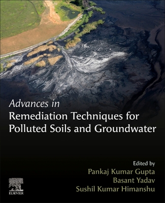 Advances in Remediation Techniques for Polluted Soils and Groundwater Cover Image