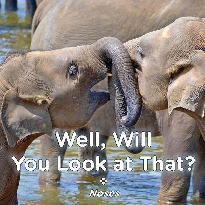 Well, Will You Look at That? Noses By Brent A. Ford, Lucy McCullough Hazlehurst Cover Image