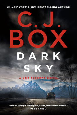 Dark Sky (A Joe Pickett Novel #21)