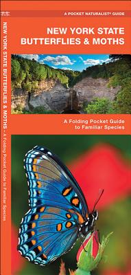 New York State Butterflies & Moths: A Folding Pocket Guide to Familiar Species (Pocket Naturalist Guides) By James Kavanagh, Waterford Press Cover Image