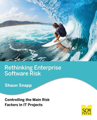 Rethinking Enterprise Software Risk: Controlling the Main Risk Factors on It Projects Cover Image