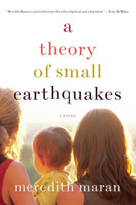 Cover for A Theory of Small Earthquakes