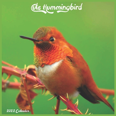 Cute Hummingbird Calendar 2022: Official Hummingbirds Birds 2022 Calendar, 16 Month (Paperback) | Golden Lab Bookshop