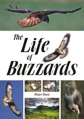 The Life of Buzzards Cover Image