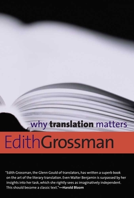 Why Translation Matters (Why X Matters Series)