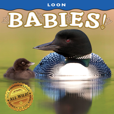 Loon Babies! (Babies! (Farcountry Press))