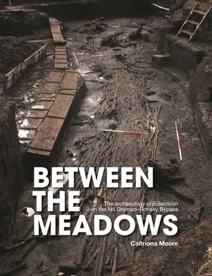 Between the Meadows: The Archaeology of Edercloon on the N4 Dromod-Roosky Bypass Cover Image