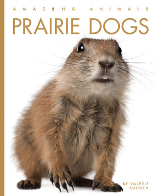 Prairie Dogs (Amazing Animals) Cover Image