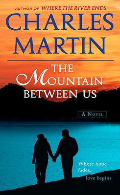 The Mountain Between Us Cover