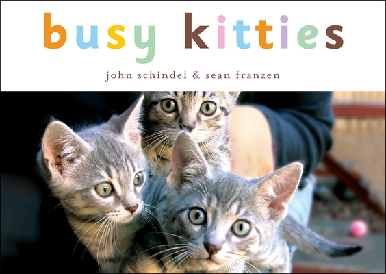Busy Kitties (A Busy Book) Cover Image