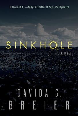 Sinkhole By Davida Breier Cover Image