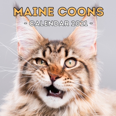 Maine Coons: 2021 Wall Calendar, Cute Gift Idea For Maine Coon Cats Lovers Or Owners Men And Women Cover Image