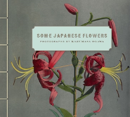 Some Japanese Flowers: Photographs by Kazumasa Ogawa Cover Image