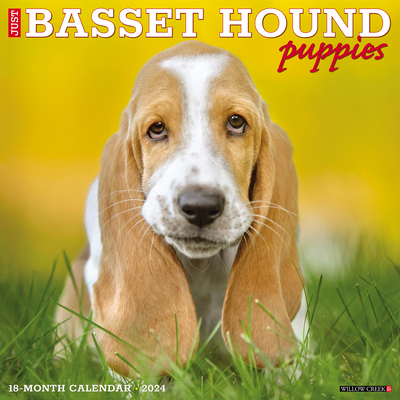 Just Basset Hound Puppies 2024 12 X 12 Wall Calendar Cover Image