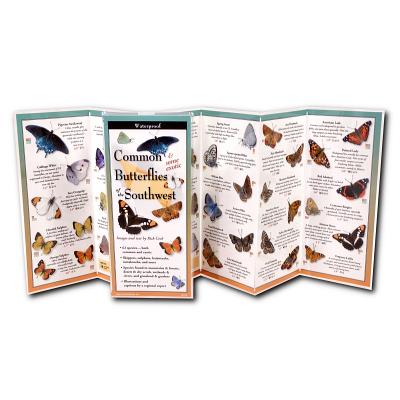 Common Butterflies of the Southwest Cover Image