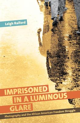 Cover for Imprisoned in a Luminous Glare