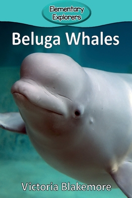 Beluga Whales (Elementary Explorers #25) By Victoria Blakemore Cover Image