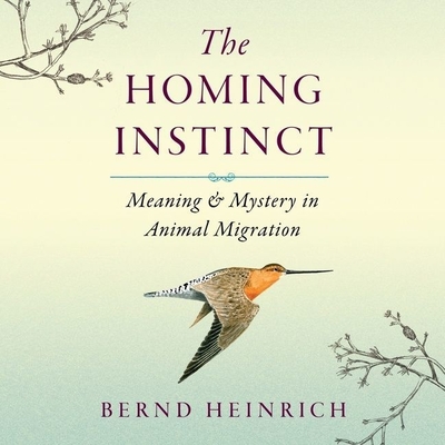 The Homing Instinct Lib/E: Meaning and Mystery in Animal Migration By Bernd Heinrich, Rick Adamson (Read by) Cover Image