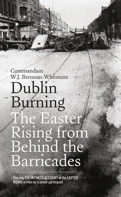 Dublin Burning: The Easter Rising from Behind the Barricades Cover Image