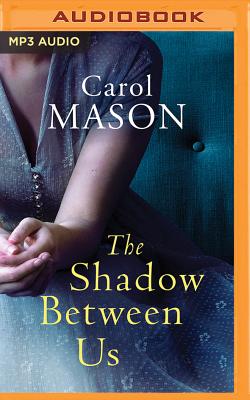 The Shadow Between Us Cover Image