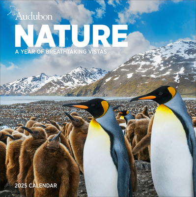 Audubon Nature Wall Calendar 2025: A Year of Breathtaking Vistas Cover Image