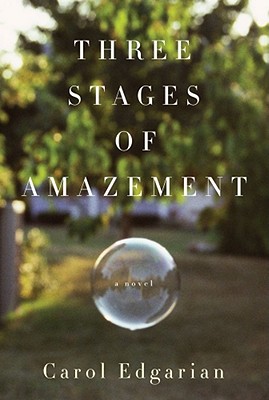 Cover Image for Three Stages of Amazement: A Novel