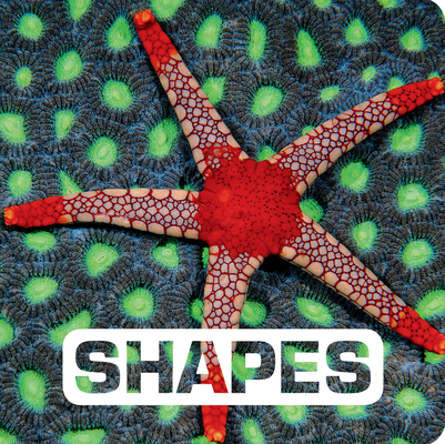 Shapes (Picture This) Cover Image