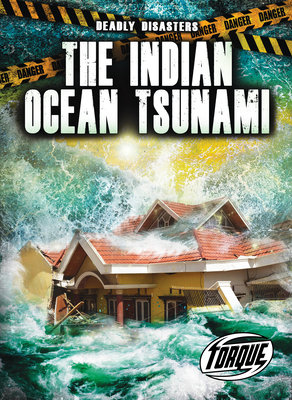 The Indian Ocean Tsunami (Deadly Disasters) By Thomas K. Adamson Cover Image