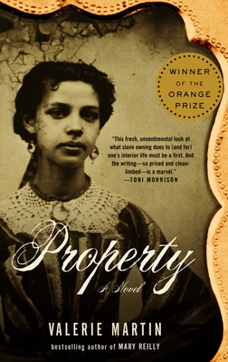 Cover for Property (Vintage Contemporaries)