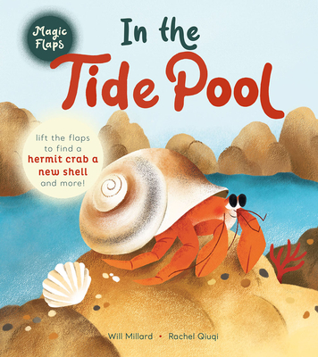 In the Tide Pool: A Magic Flaps Book Cover Image