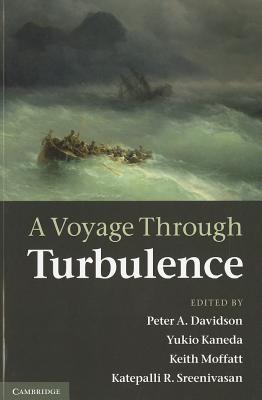 A Voyage Through Turbulence Cover Image