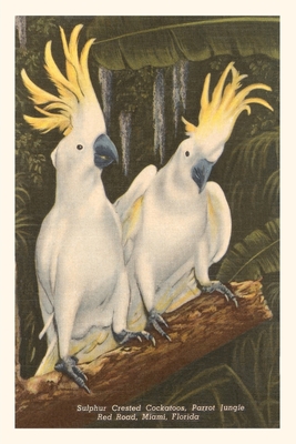 Vintage Journal Sulfur-Crested Cockatoos, Miami, Florida By Found Image Press (Producer) Cover Image