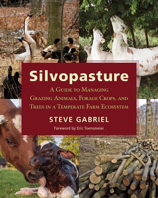 Silvopasture: A Guide to Managing Grazing Animals, Forage Crops, and Trees in a Temperate Farm Ecosystem By Steve Gabriel, Eric Toensmeier (Foreword by) Cover Image