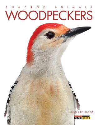 Amazing Animals: Woodpeckers By Kate Riggs Cover Image