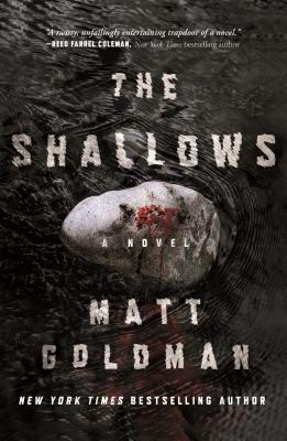 The Shallows: A Nils Shapiro Novel By Matt Goldman Cover Image