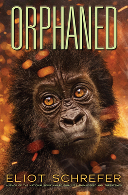 Orphaned (Ape Quartet #4) By Eliot Schrefer Cover Image