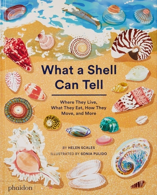 What A Shell Can Tell By Helen Scales, Sonia Pulido (By (artist)) Cover Image