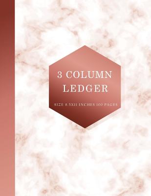 3 Column Ledger: Ledger Book for Bookkeeping, Accounting Ledger Notebook, Bookkeeping Record Book, Accounting Ledger for Small Business Cover Image