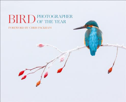 Bird Photographer of the Year: Collection 2 Cover Image