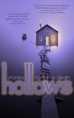 Cover for Hollows