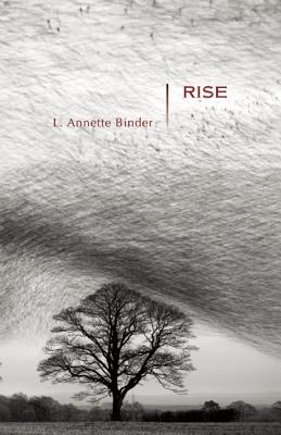 Rise (Mary McCarthy Prize in Short Fiction) By L. Annette Binder Cover Image