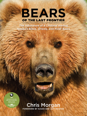 Bears of the Last Frontier: The Adventure of a Lifetime among Alaska's Black, Grizzly, and Polar Bears By Chris Morgan Cover Image
