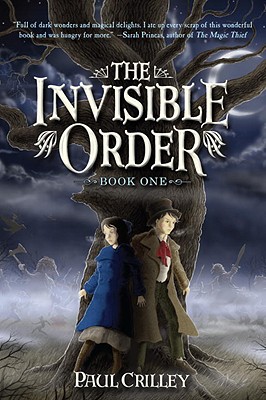 Cover Image for The Invisible Order, Book One: Rise of the Darklings