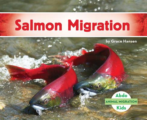 Salmon Migration (Animal Migration) By Grace Hansen Cover Image