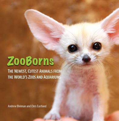 ZooBorns By Andrew Bleiman, Chris Eastland Cover Image