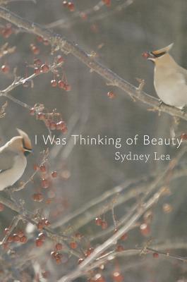 Cover for I Was Thinking of Beauty